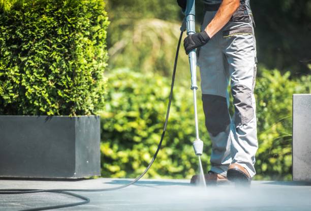 Best Rust Removal  in Spring Lake Park, MN