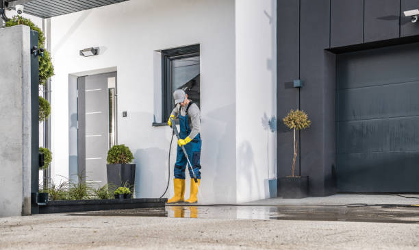 Best Fence Cleaning  in Spring Lake Park, MN